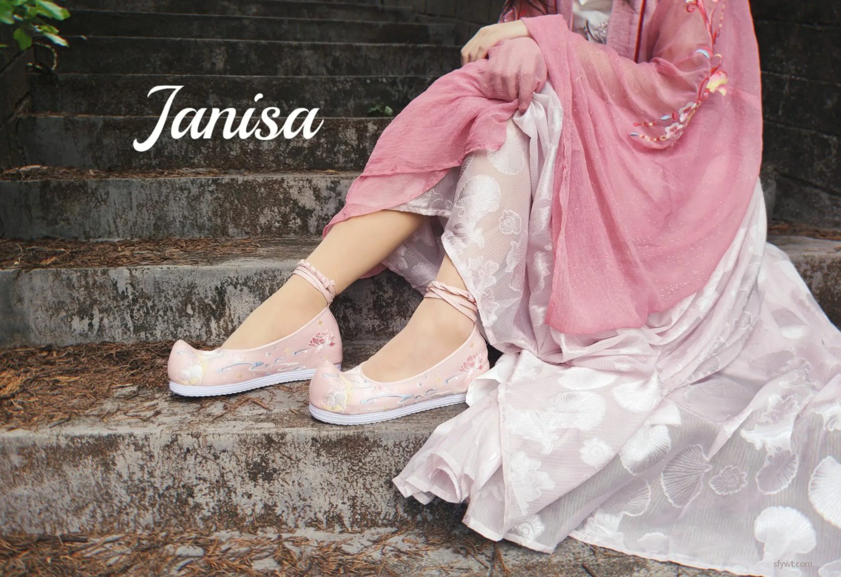  (20P) ͼ ģ coserͼ Janisa P.3