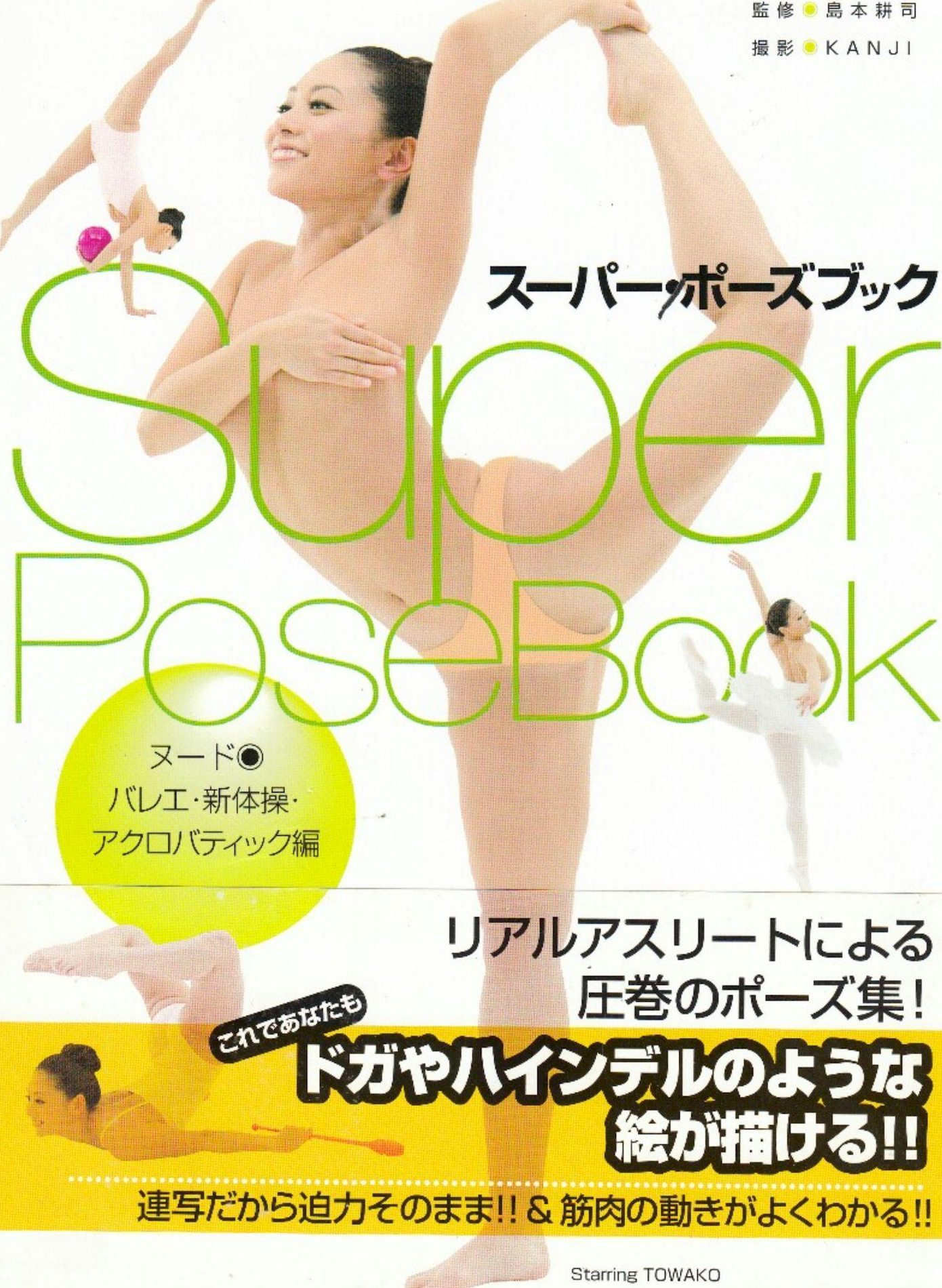 Զ ձSuperPoseBookǸͼ P.3