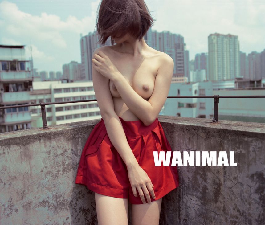 WANIMAL (ʮ) [109P] ͼ ʥ P.1 